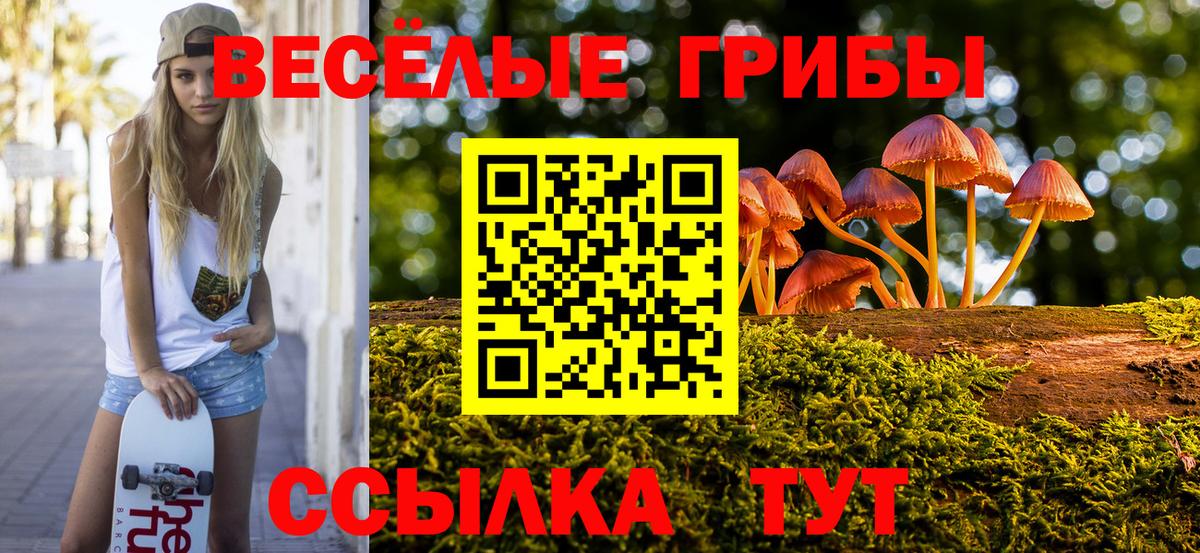 Псилоцибиновые грибы Magic Shrooms  Псилоцибиновые грибы Psilocybine cubensis  Вход с VPN  Нефтекумск 