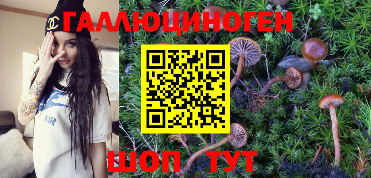 Псилоцибиновые грибы MAGIC MUSHROOMS Нефтекумск